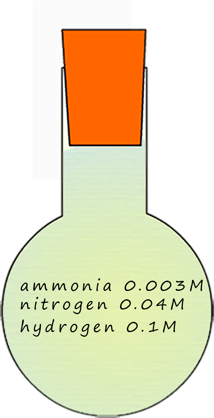 Conical flask containing an equilibrium mixture of nitrogen, hydrogen and ammnia.